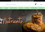 design SEO optimized wordpress website on hostinger and shopify